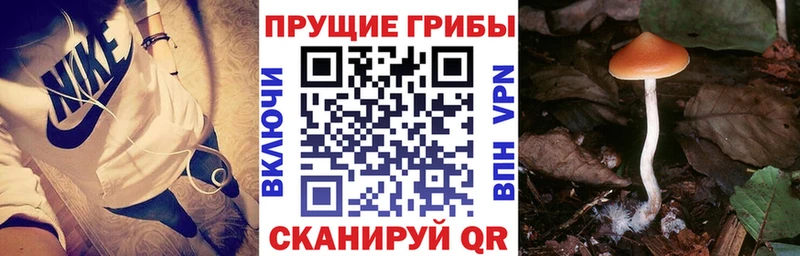 Псилоцибиновые грибы мухоморы  купить наркотики сайты  Кандалакша 