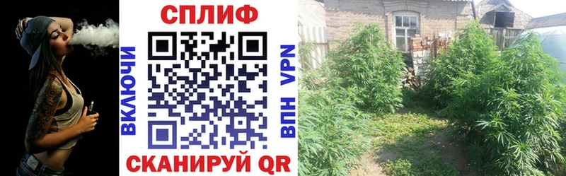 Канабис Bruce Banner  OMG сайт  Кандалакша 